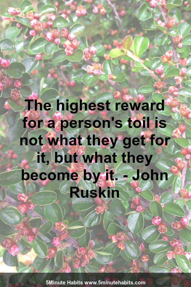 The highest reward for a person's toil is not what they get for it, but what they become by it. - John Ruskin